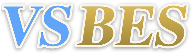 vsbes